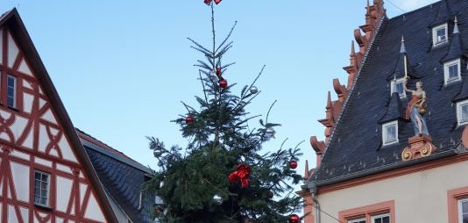 Weihnachtsbaum auf dem Umstädter Marktplatz