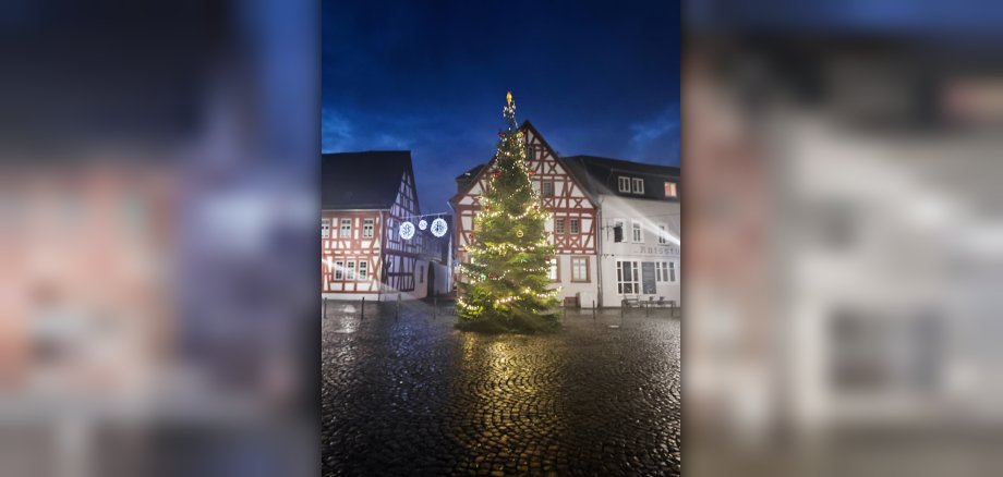 Weihnachtsbaum vor Rathaus