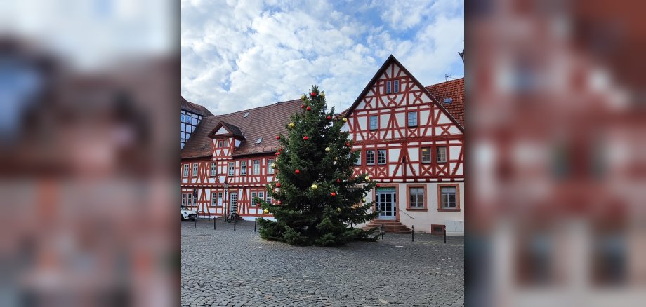 Weihnachtsbaum auf dem Marktplatz