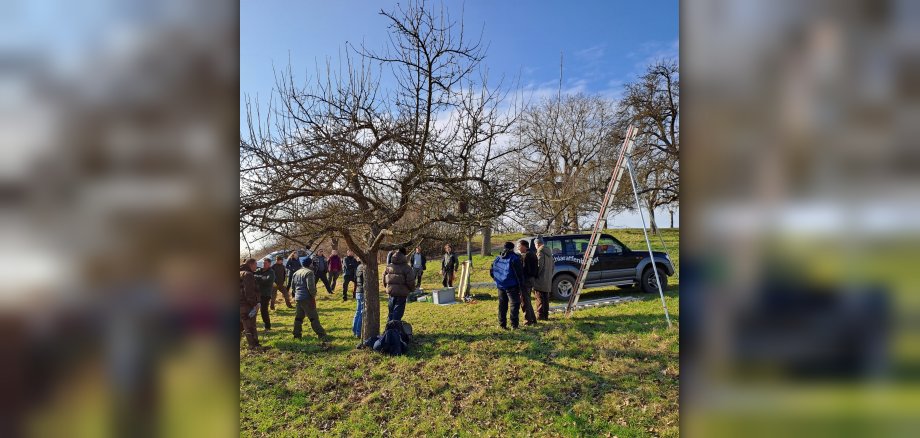 Obstbaumschnittkurs Teilnehmer bei sonnigem Wetter